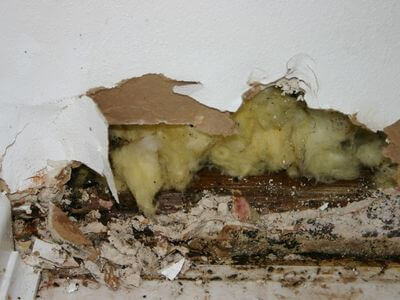 About water damage restoration service - burst pipe water damage experts in Cincinnati